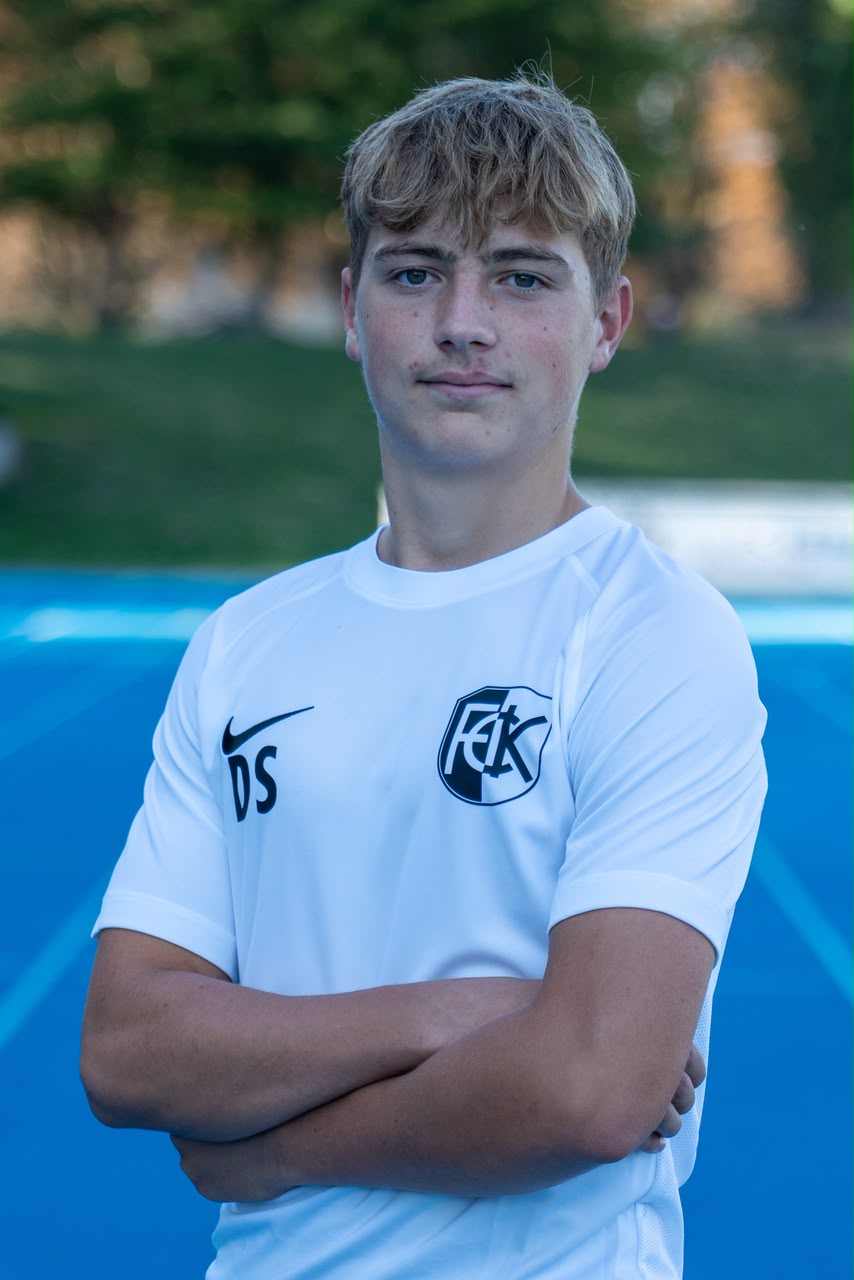 Diego Sterzel